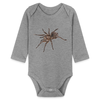 Baby Body lang Theraphosa stirmi juvenile - Grau meliert