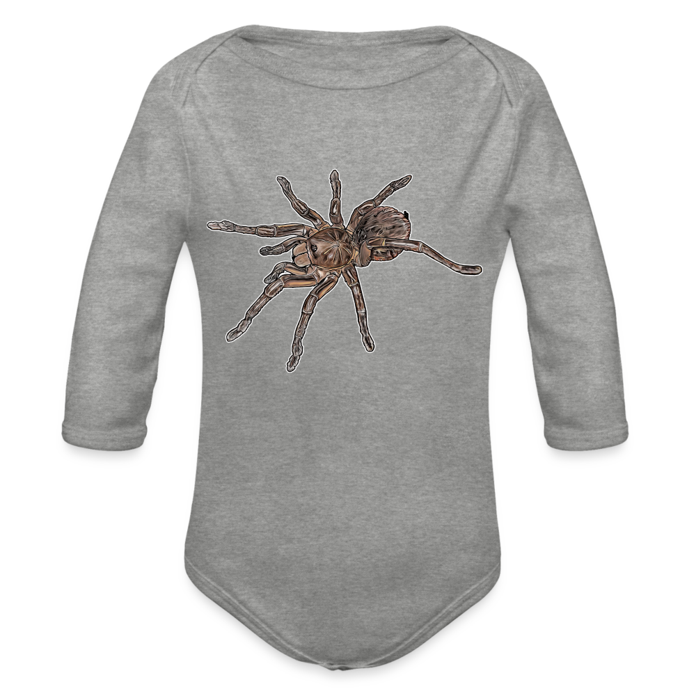 Baby Body lang Theraphosa stirmi juvenile - Grau meliert