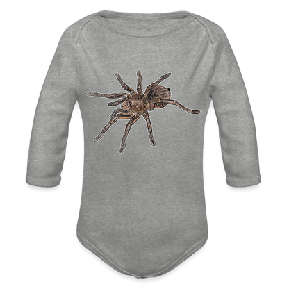 Baby Body lang Theraphosa stirmi juvenile - Grau meliert
