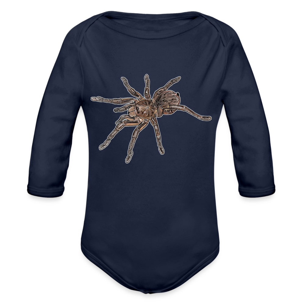 Baby Body lang Theraphosa stirmi juvenile - Dunkelnavy