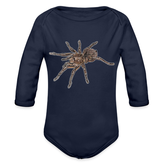 Baby Body lang Theraphosa stirmi juvenile - Dunkelnavy