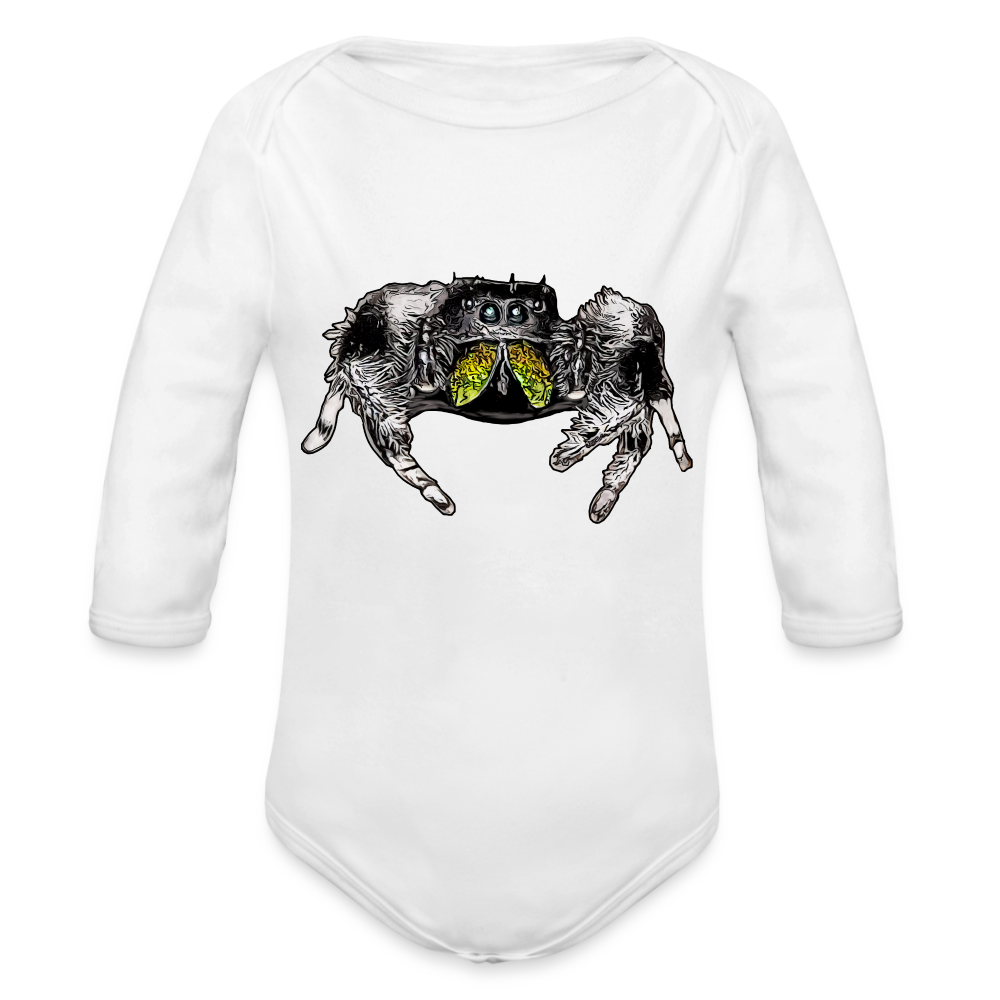 Baby Body lang Phidippus regius Rastafari male - weiß