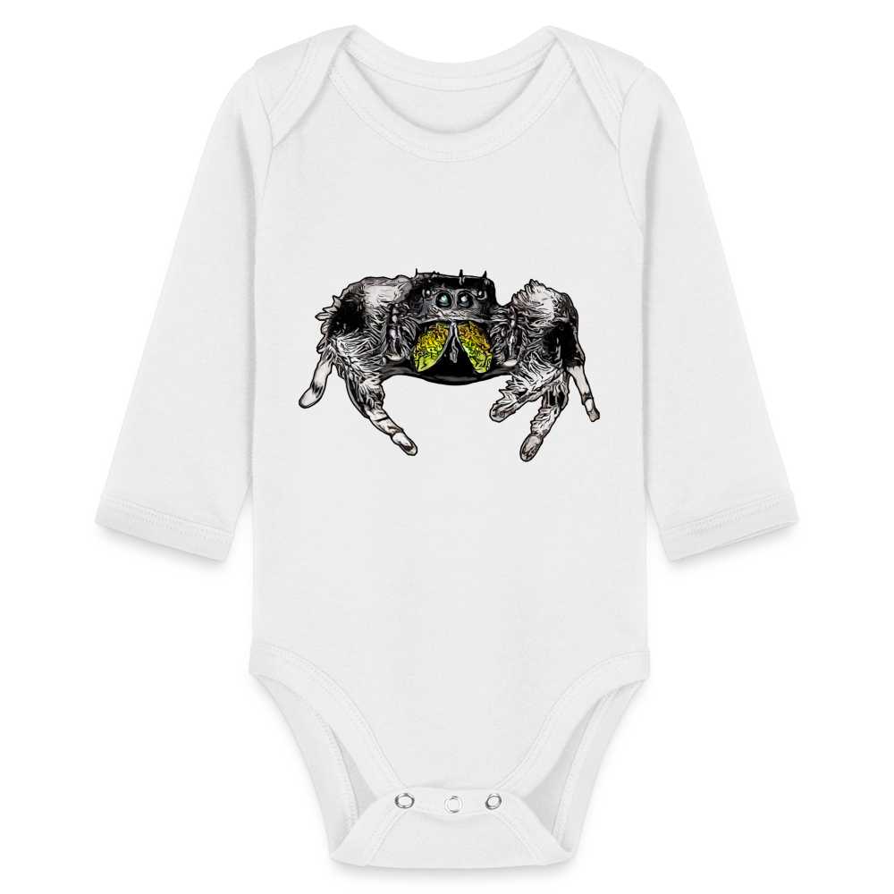 Baby Body lang Phidippus regius Rastafari male - weiß