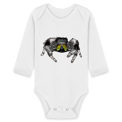 Baby Body lang Phidippus regius Rastafari male - weiß