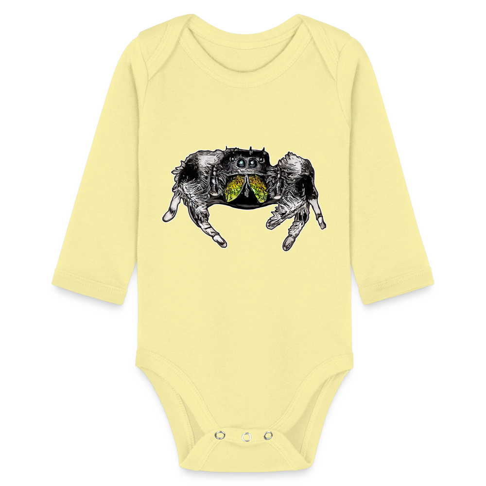 Baby Body lang Phidippus regius Rastafari male - Hellgelb