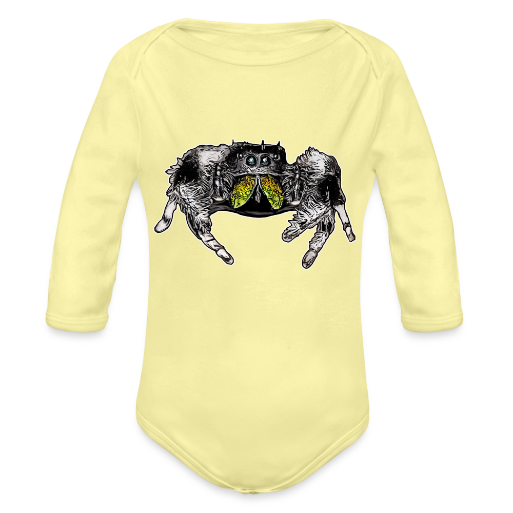 Baby Body lang Phidippus regius Rastafari male - Hellgelb