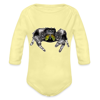 Baby Body lang Phidippus regius Rastafari male - Hellgelb