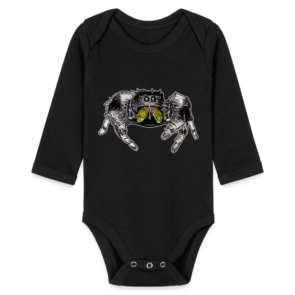 Baby Body lang Phidippus regius Rastafari male - Schwarz