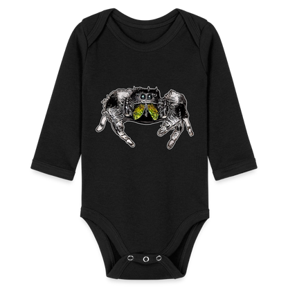 Baby Body lang Phidippus regius Rastafari male - Schwarz