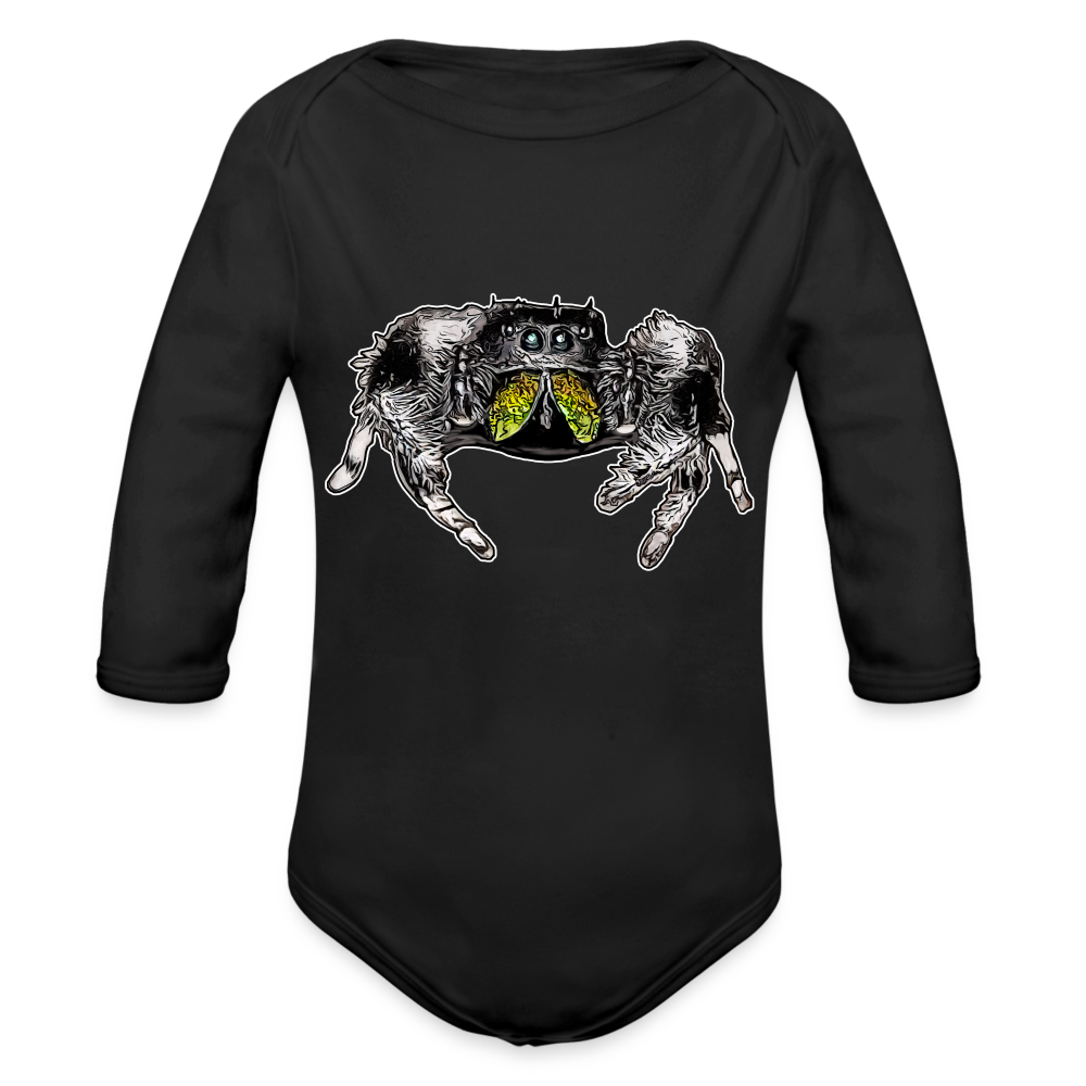 Baby Body lang Phidippus regius Rastafari male - Schwarz