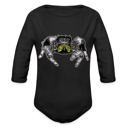 Baby Body lang Phidippus regius Rastafari male - Schwarz