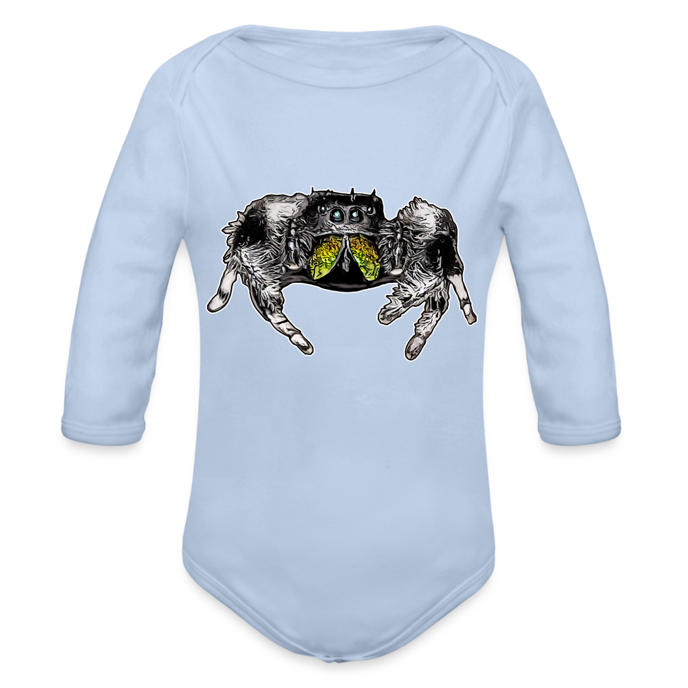 Baby Body lang Phidippus regius Rastafari male - Sky