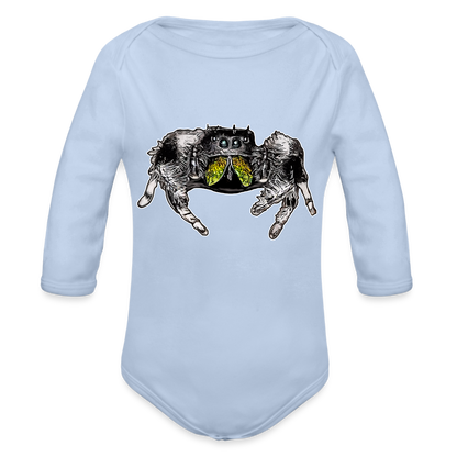 Baby Body lang Phidippus regius Rastafari male - Sky