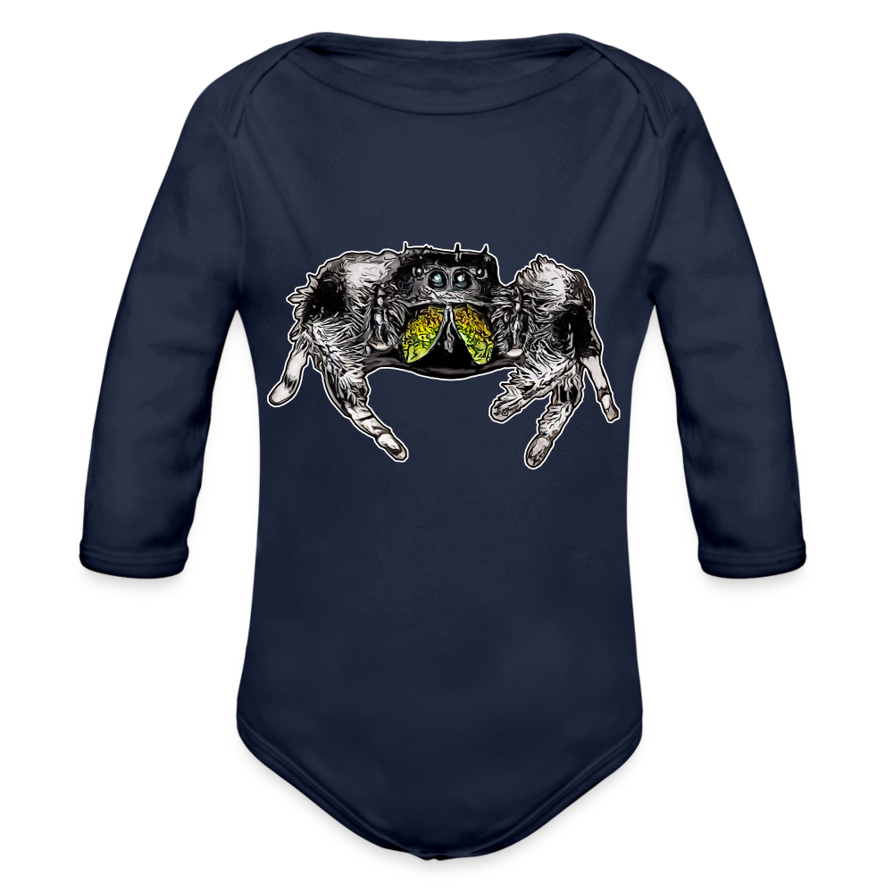 Baby Body lang Phidippus regius Rastafari male - Dunkelnavy