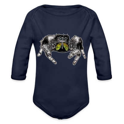 Baby Body lang Phidippus regius Rastafari male - Dunkelnavy