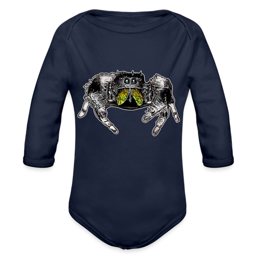 Baby Body lang Phidippus regius Rastafari male - Dunkelnavy