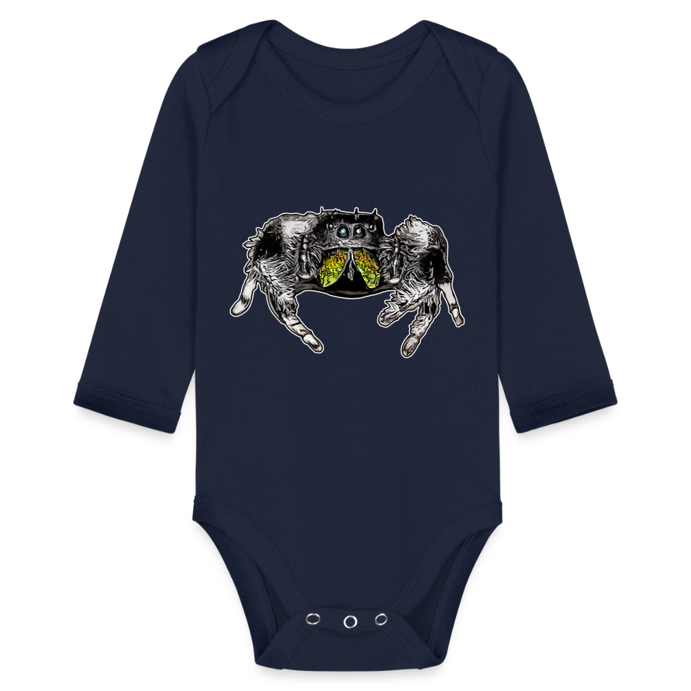 Baby Body lang Phidippus regius Rastafari male - Dunkelnavy