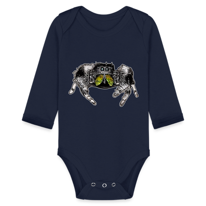 Baby Body lang Phidippus regius Rastafari male - Dunkelnavy