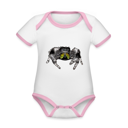 Baby Kontrastbody kurz Phidippus regius Rastafari male - Weiß/Rose