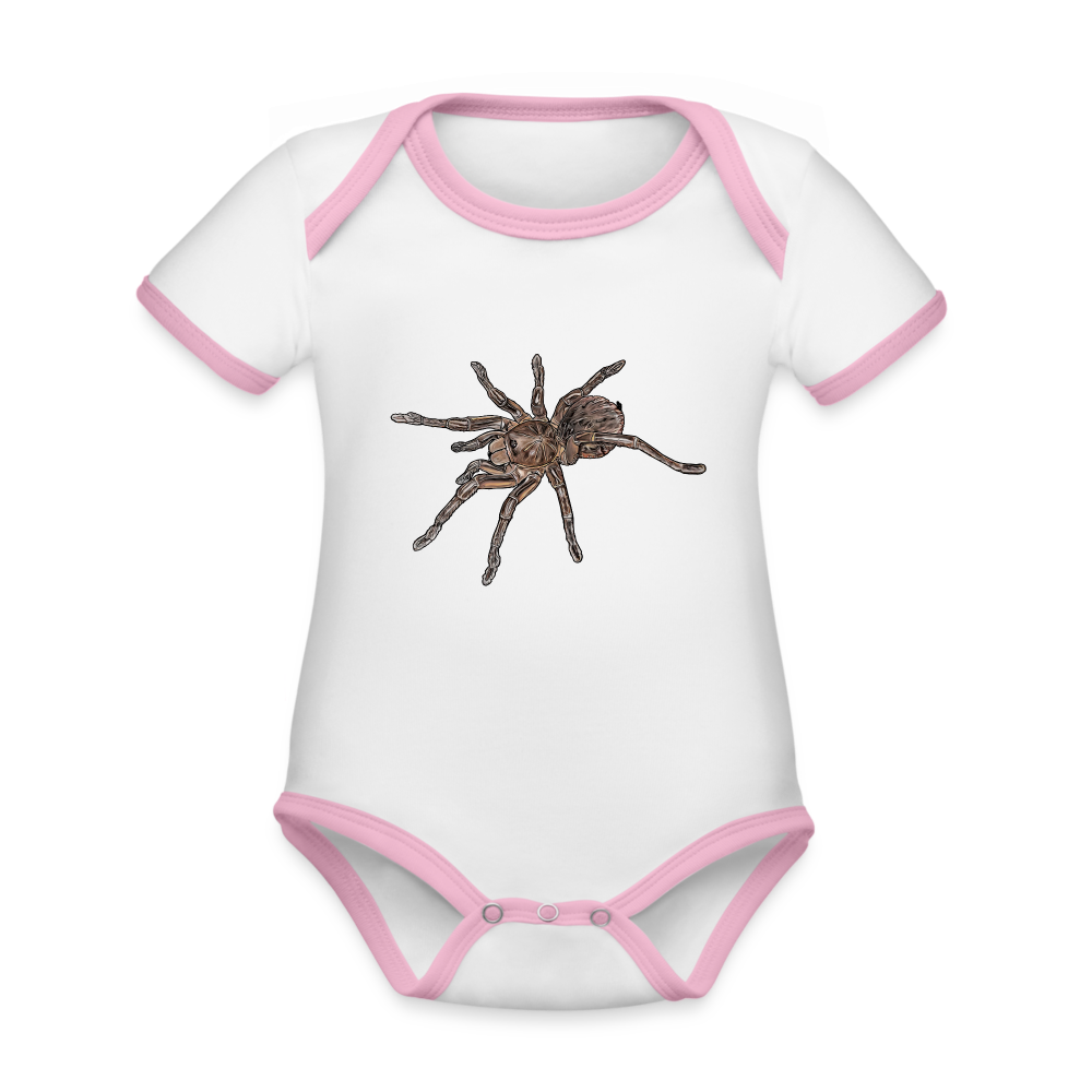 Baby Kontrastbody kurz Theraphosa stirmi juvenile - Weiß/Rose