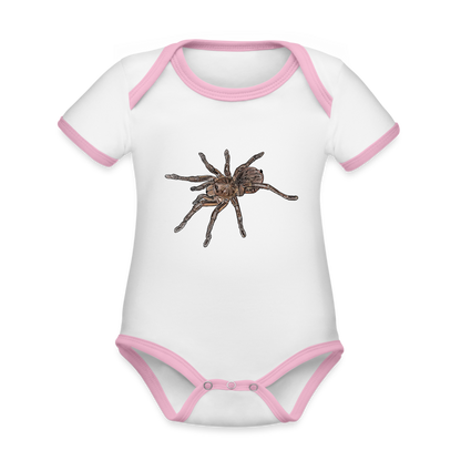 Baby Kontrastbody kurz Theraphosa stirmi juvenile - Weiß/Rose