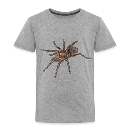 Kinder Basic T-Shirt Theraphosa stirmi juvenile - Grau meliert