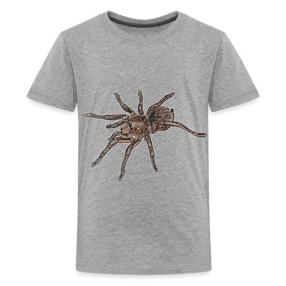 Teenager Basic T-Shirt Theraphosa stirmi juvenile - Grau meliert