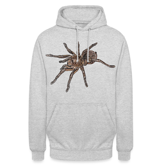 Unisex Hoodie Theraphosa stirmi juvenile - Hellgrau meliert