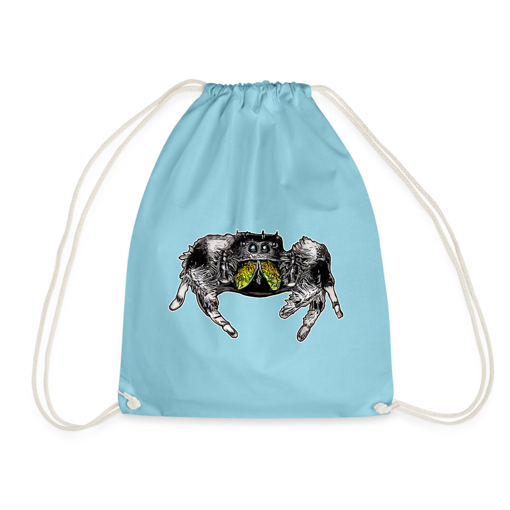 Turnbeutel Phidippus regius Rastafari male - Aqua