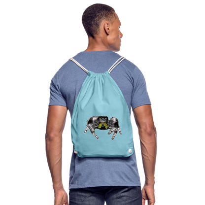 Turnbeutel Phidippus regius Rastafari male - Aqua