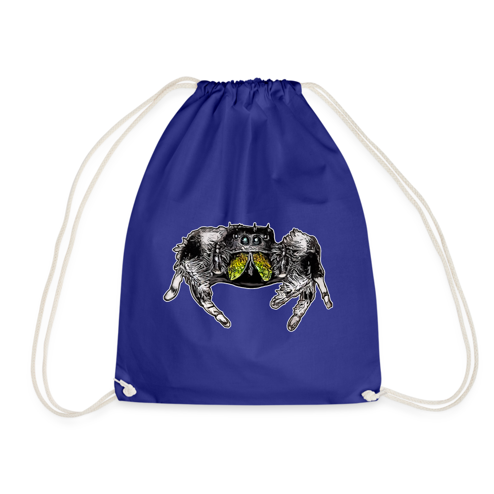 Turnbeutel Phidippus regius Rastafari male - Königsblau