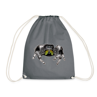 Turnbeutel Phidippus regius Rastafari male - Grau