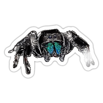 Sticker Phidippus regius Everglades male - Weiß glänzend