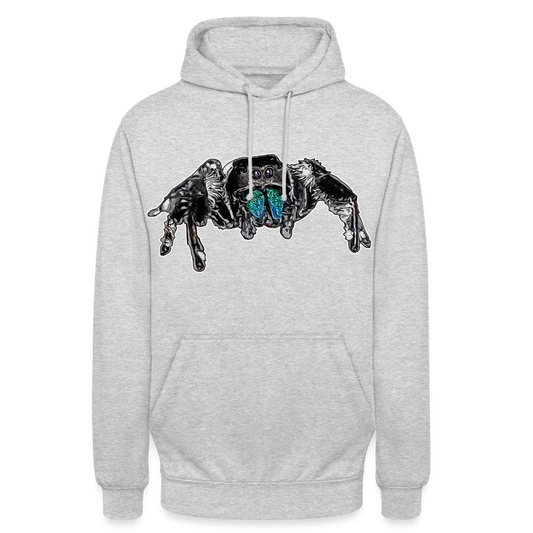 Unisex Hoodie Phidippus regius Everglades male - Hellgrau meliert