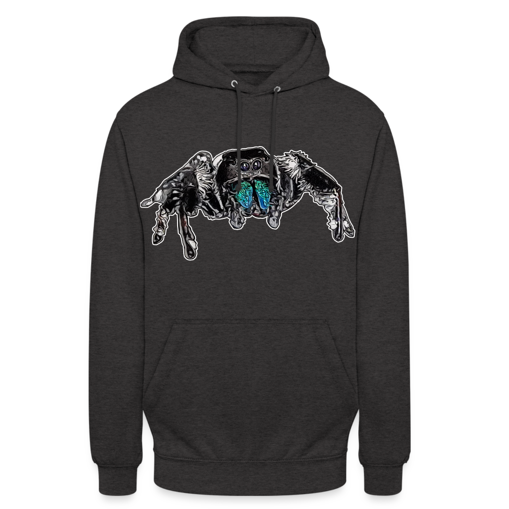 Unisex Hoodie Phidippus regius Everglades male - Anthrazit