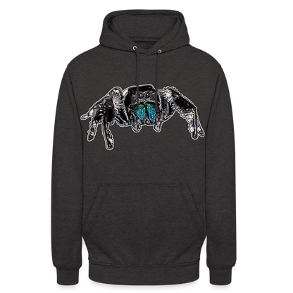Unisex Hoodie Phidippus regius Everglades male - Anthrazit