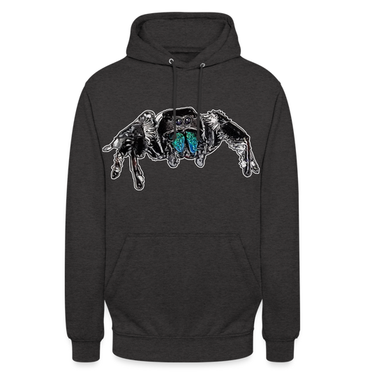 Unisex Hoodie Phidippus regius Everglades male - Anthrazit