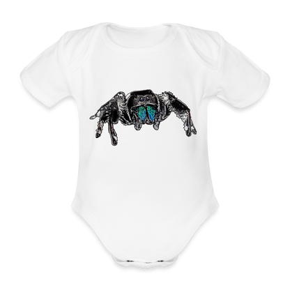 Baby Body kurz Phidippus regius Everglades male - weiß