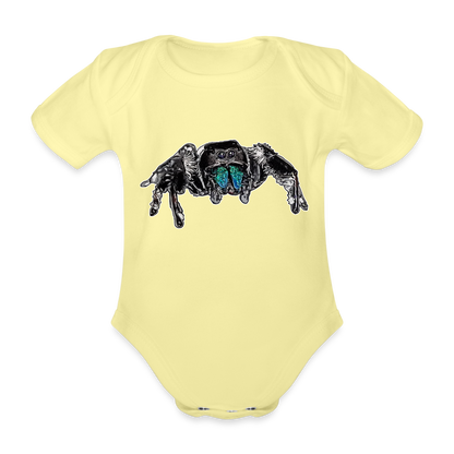 Baby Body kurz Phidippus regius Everglades male - Hellgelb