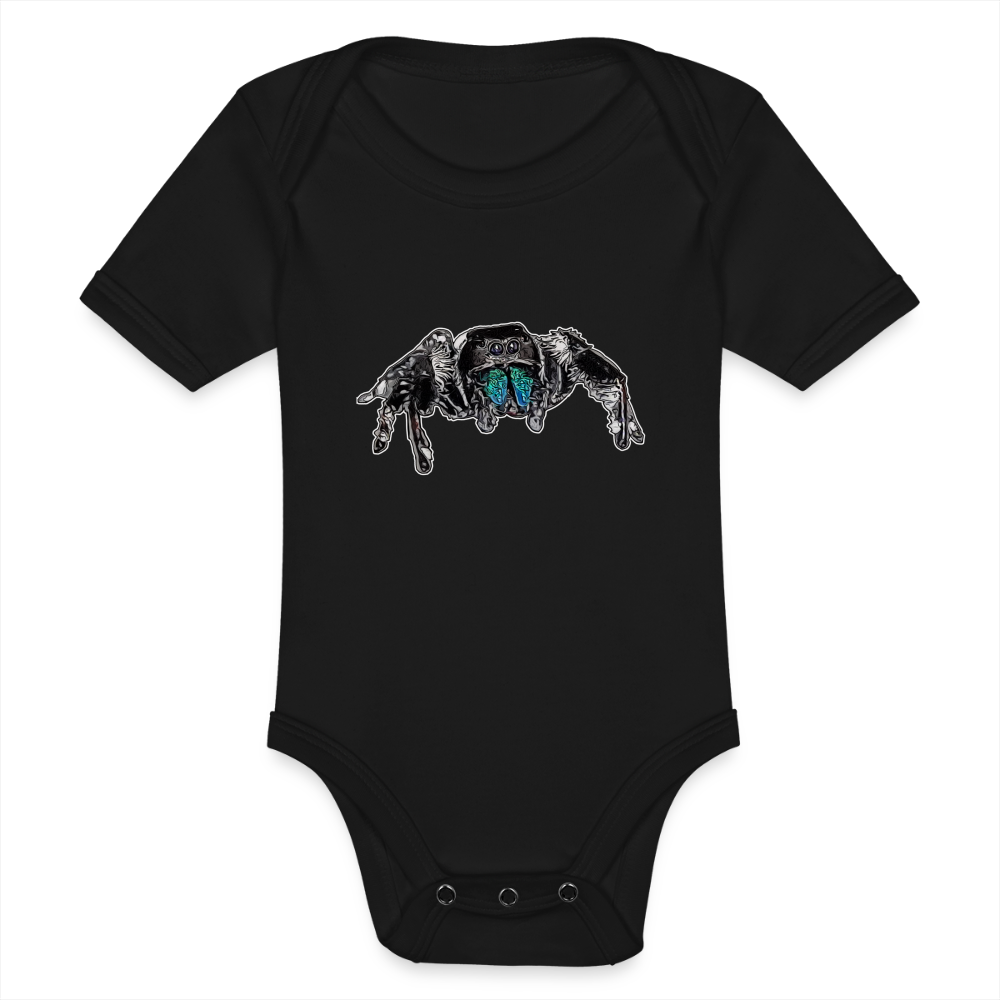 Baby Body kurz Phidippus regius Everglades male - Schwarz