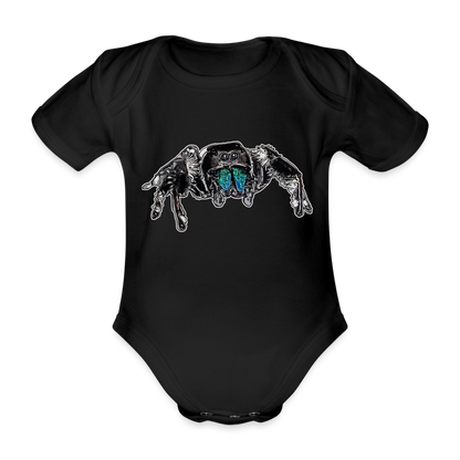 Baby Body kurz Phidippus regius Everglades male - Schwarz