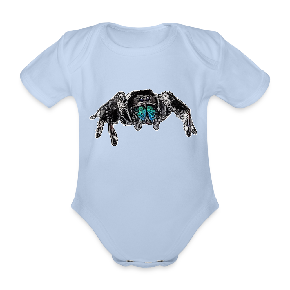 Baby Body kurz Phidippus regius Everglades male - Sky