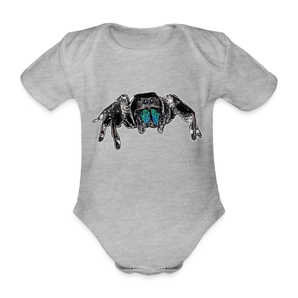 Baby Body kurz Phidippus regius Everglades male - Grau meliert