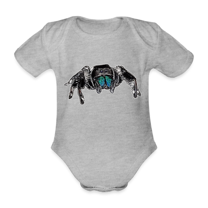 Baby Body kurz Phidippus regius Everglades male - Grau meliert