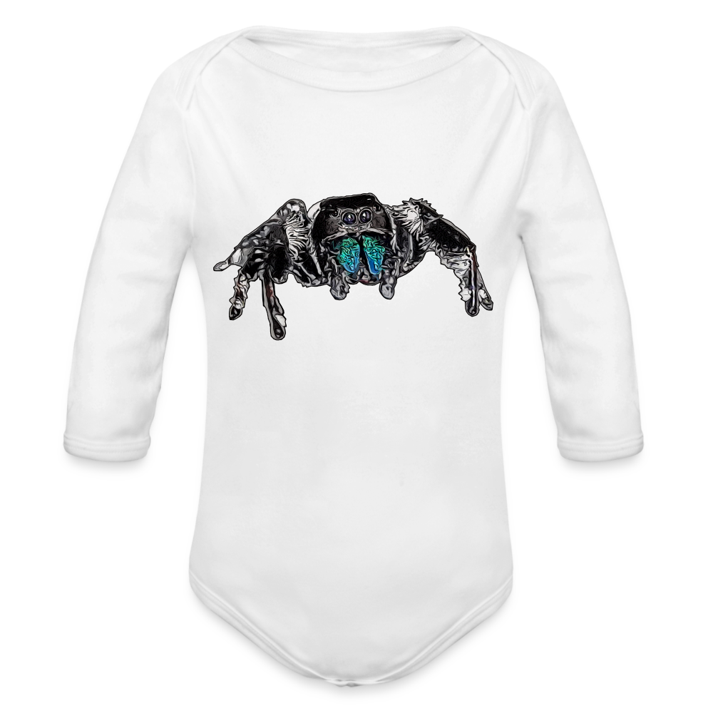 Baby Body lang Phidippus regius Everglades male - weiß