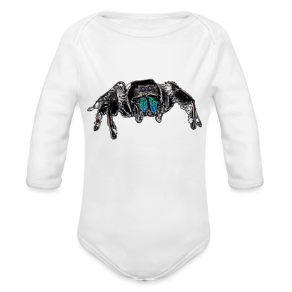 Baby Body lang Phidippus regius Everglades male - weiß