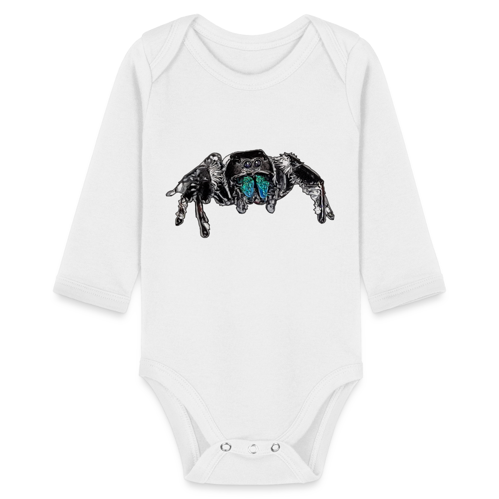 Baby Body lang Phidippus regius Everglades male - weiß