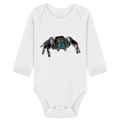 Baby Body lang Phidippus regius Everglades male - weiß