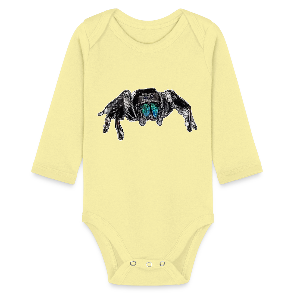 Baby Body lang Phidippus regius Everglades male - Hellgelb