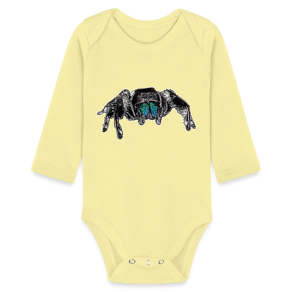 Baby Body lang Phidippus regius Everglades male - Hellgelb